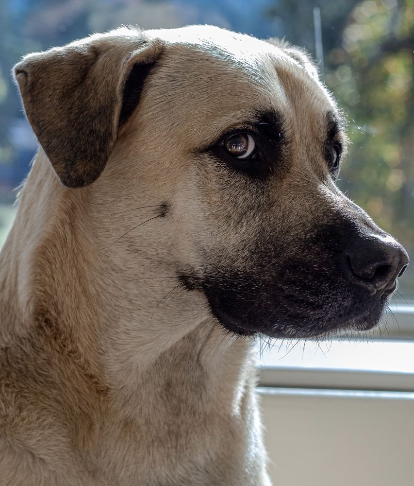 Photograph by Natalia Salivon