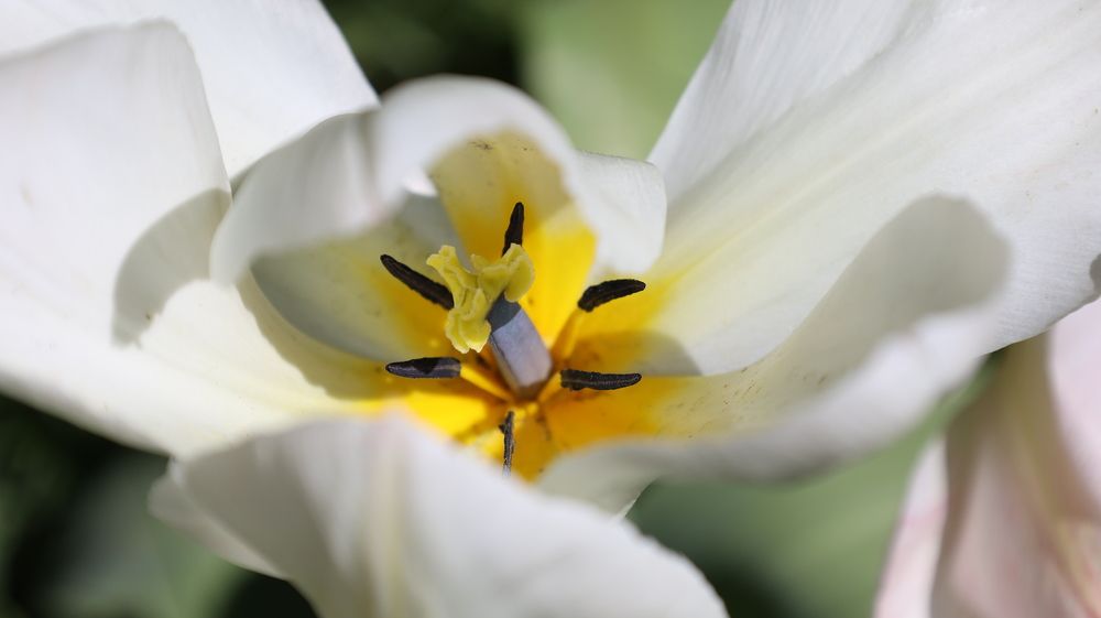 Photograph by Tatiana Serova