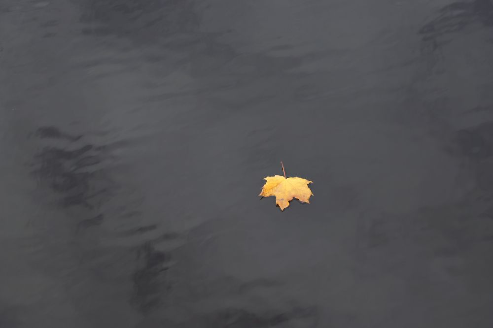 Photograph by Юлия Яковлева