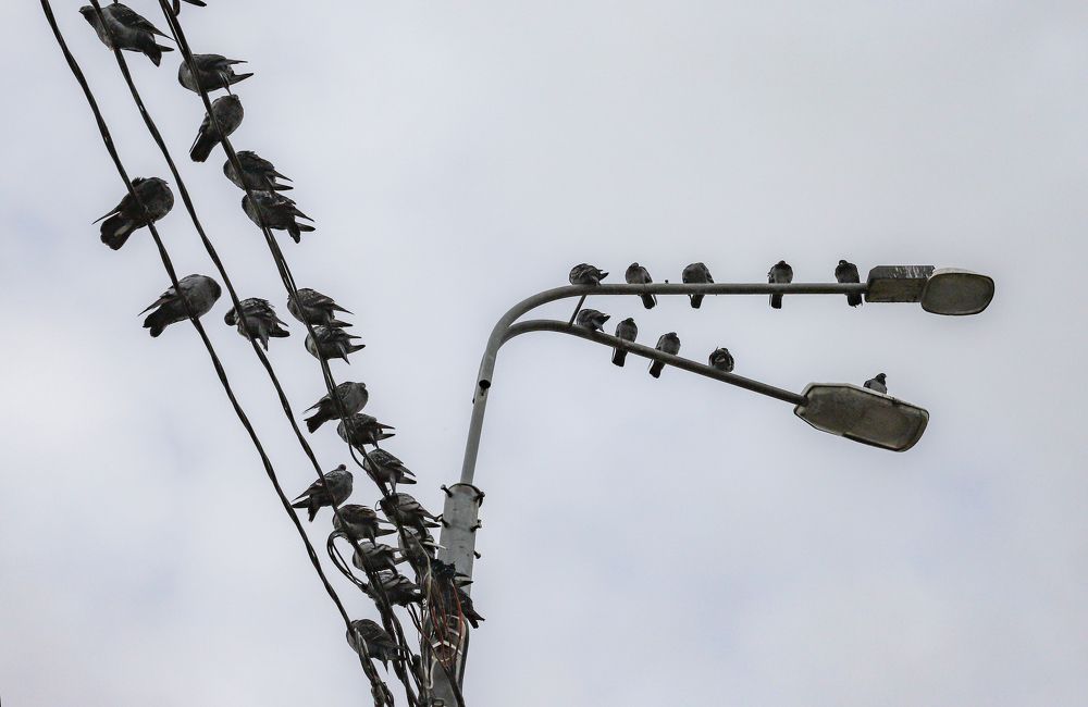 Photograph by Юлия Яковлева