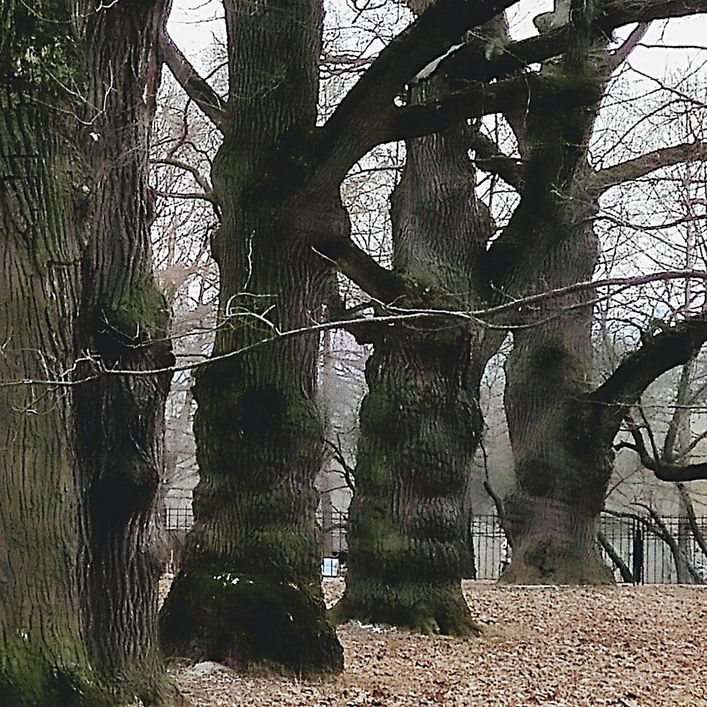 Photograph by Ведерникова Анна Андреевна