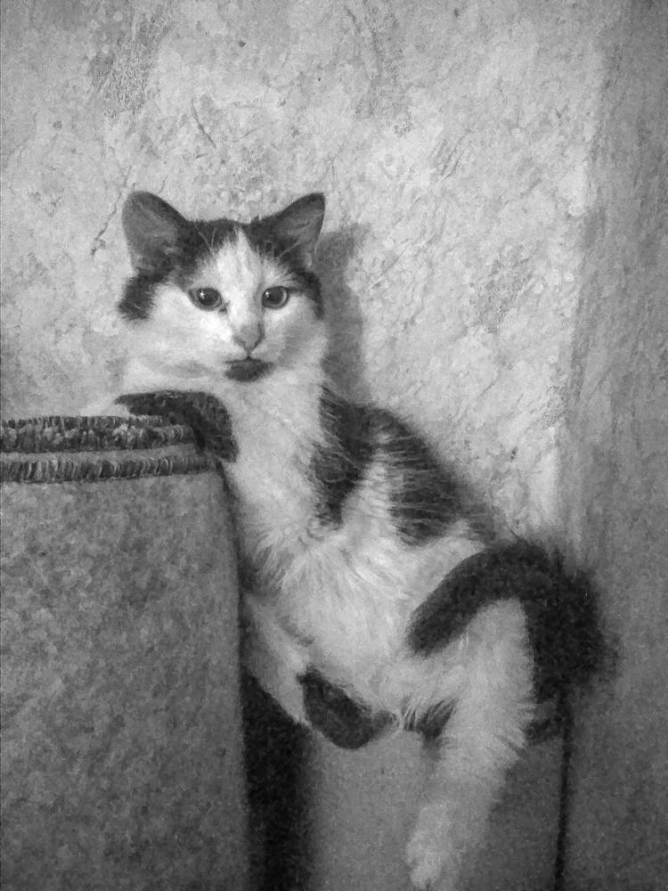 Photograph by Fantomas