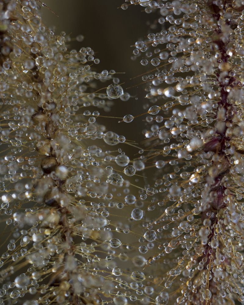 Photograph by Valdir Hobus