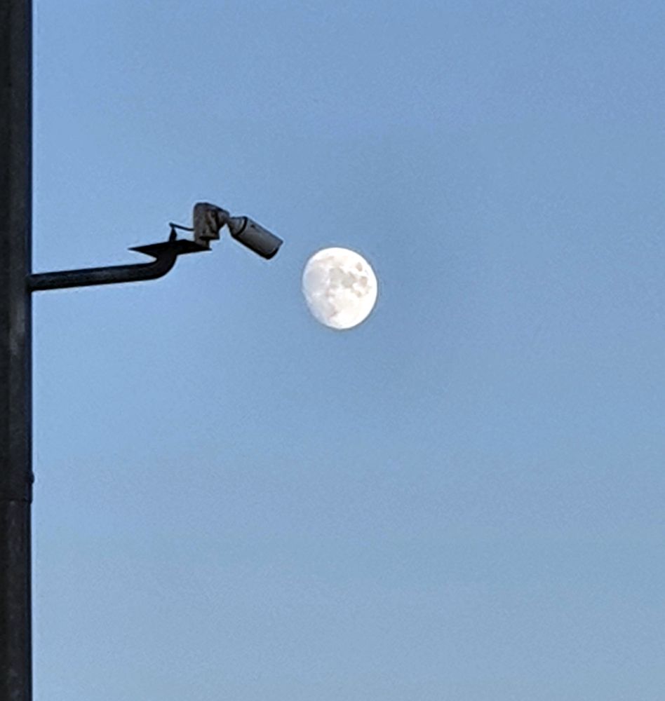 Photograph by MMD HORANFAR