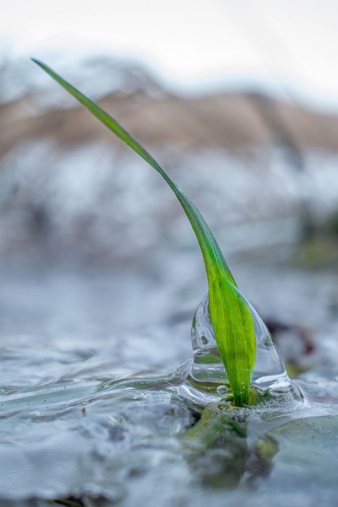 Photograph by Артем Штылев