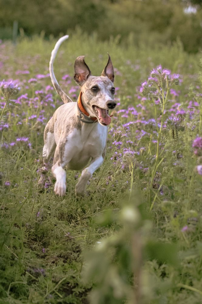 Photograph by Ангелина Высочина