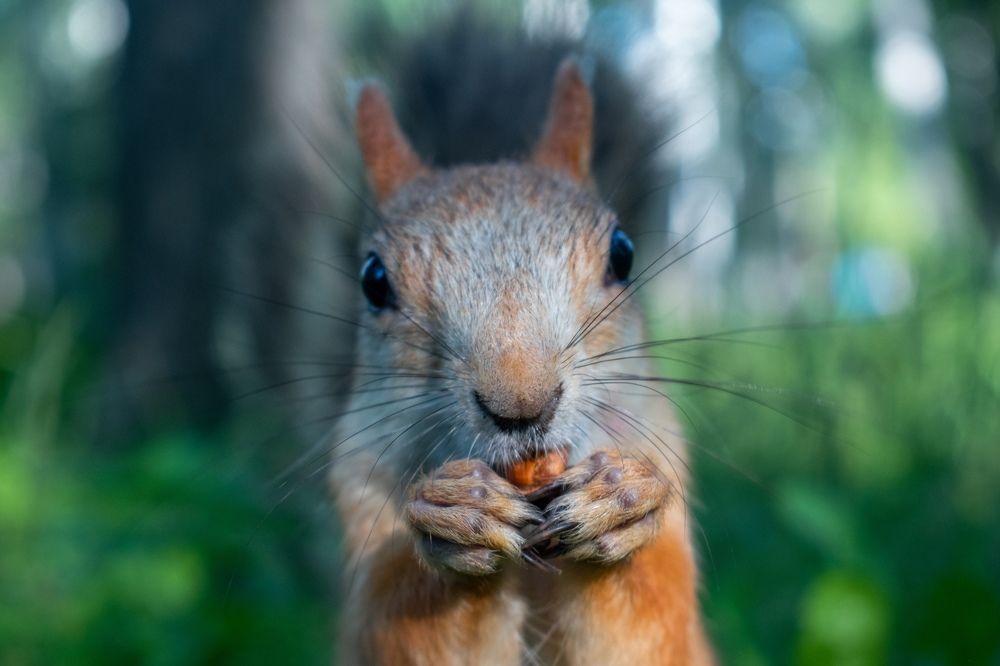 Photograph by Артем Штылев