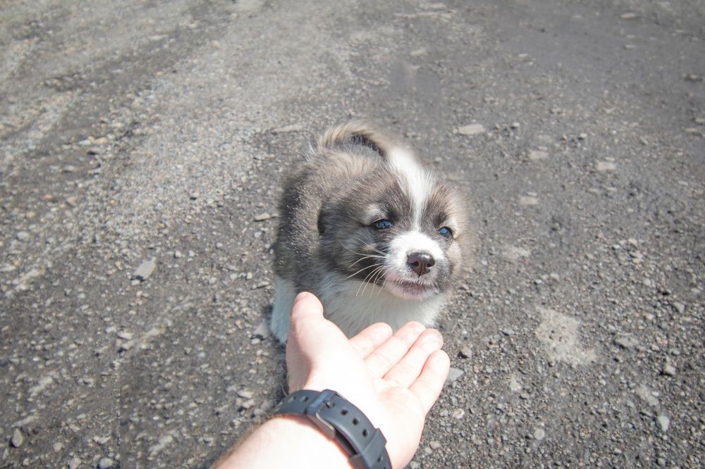 Photograph by Артем Штылев