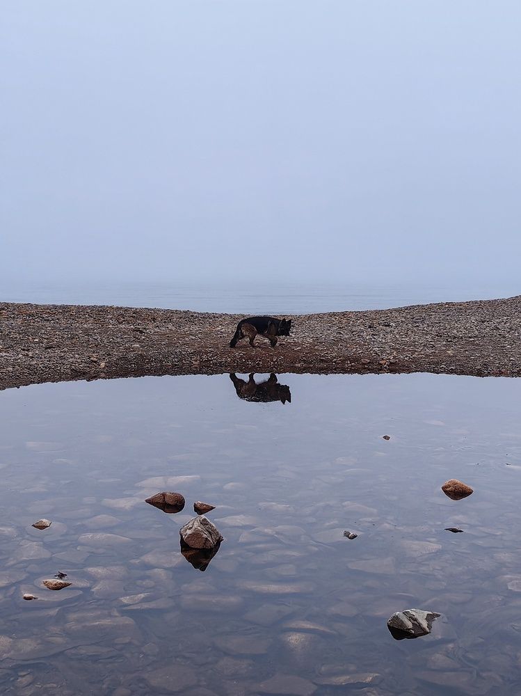 Photograph by Катерина Тулина