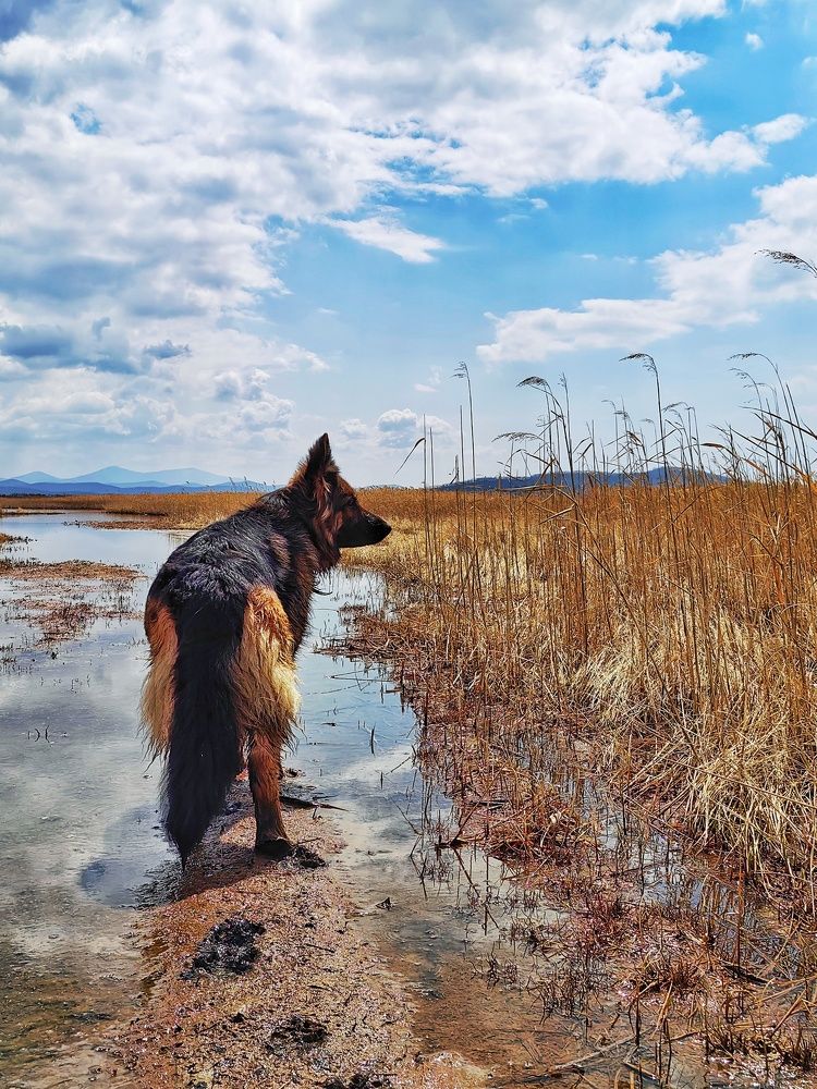 Photograph by Катерина Тулина