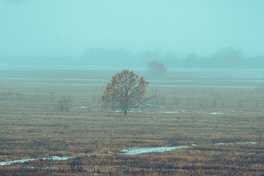 Фотография автора Сморчков Сергей