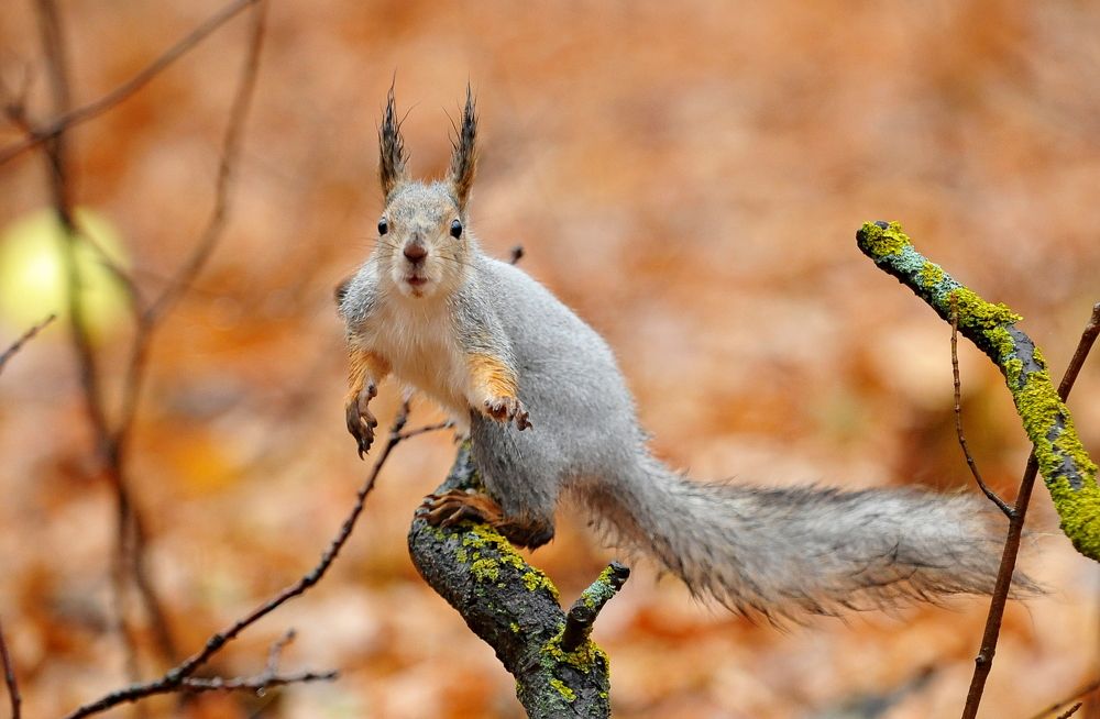 Photograph by Алексей Козлов