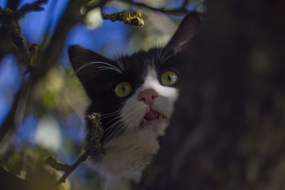 Photograph by Владислав Капанов