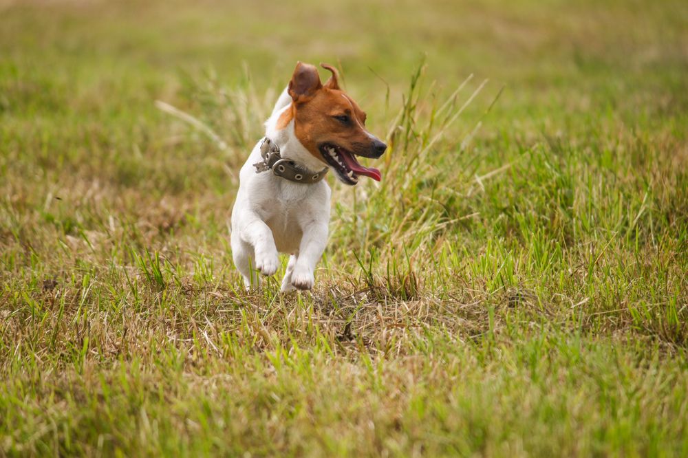 Photograph by Владислав Капанов
