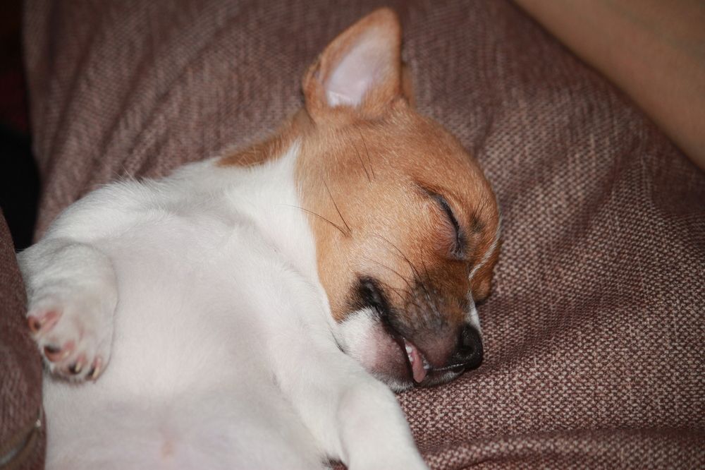 Photograph by Владислав Капанов