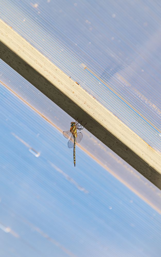 Photograph by Галина Патрушева