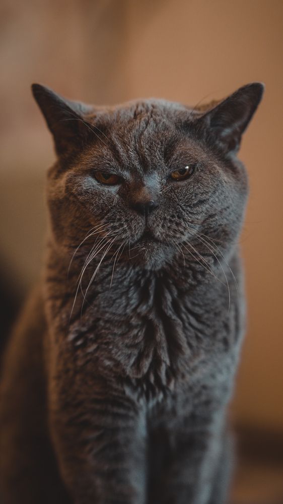 Photograph by Anton Kotlovskii