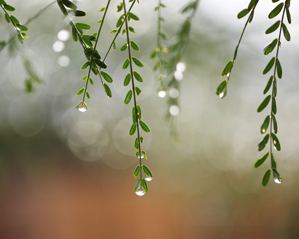 Photograph by Anferow Lana