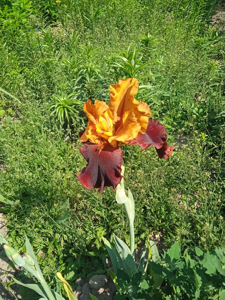 Photograph by Удовченко Елена
