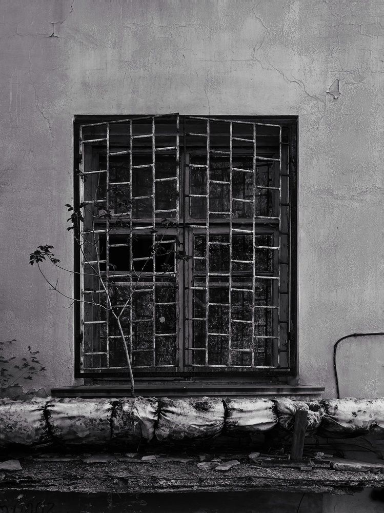 Фотография автора Татьяна Шахова