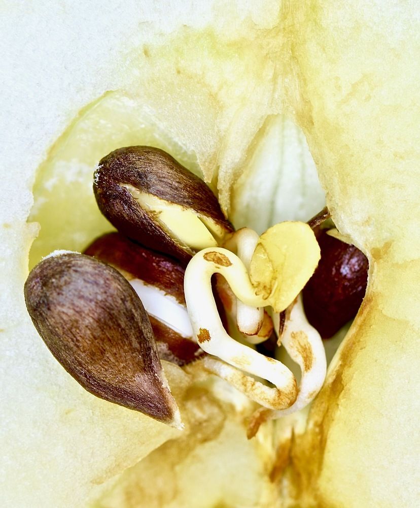 Photograph by Юлия Мартова