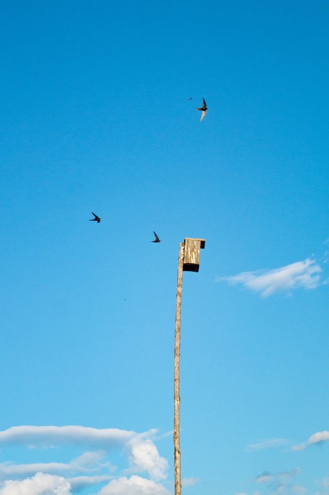 Photograph by Екатерина