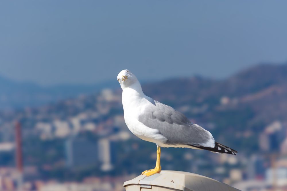 Photograph by esti lahat