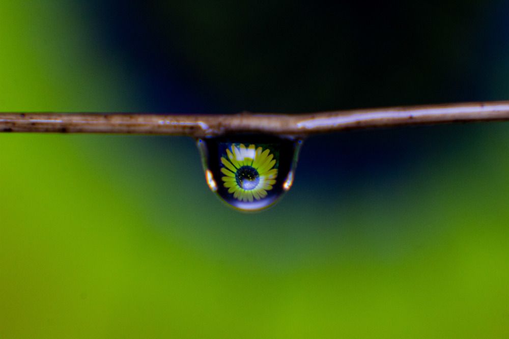 Photograph by hamid solaymani