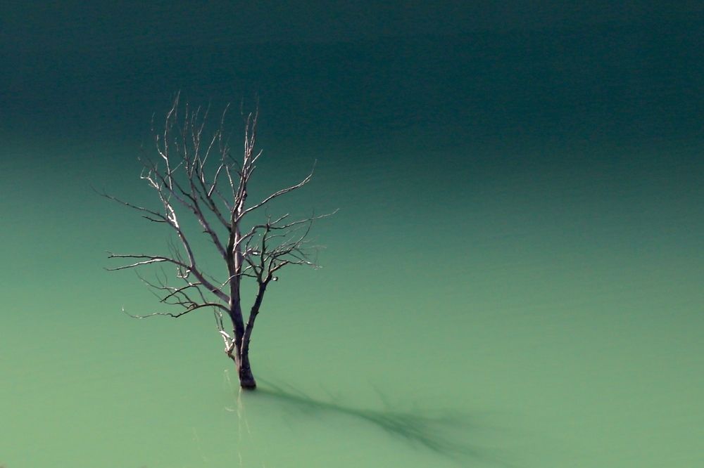 Photograph by Оксана Соколова