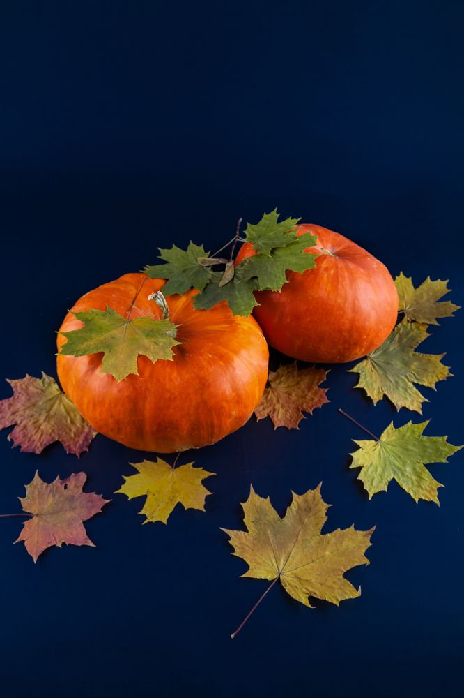 Фотография автора Альбина Кадочникова