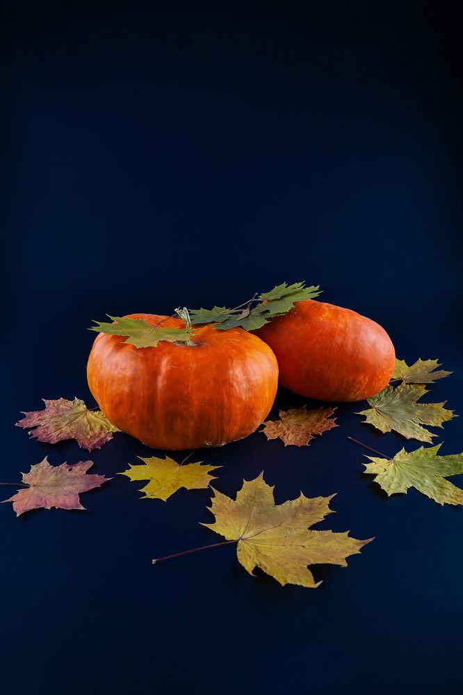 Фотография автора Альбина Кадочникова