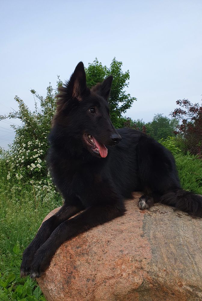 Фотография автора Надежда Лисицына