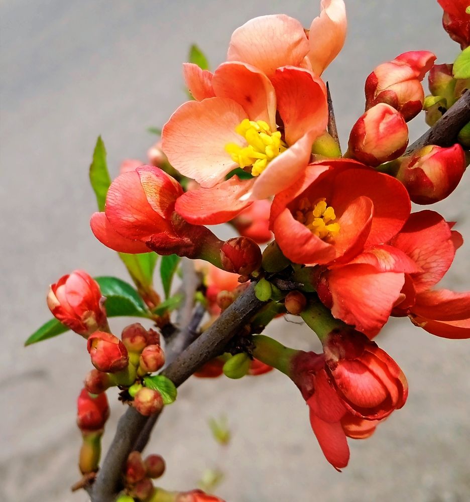 Photograph by Наталья