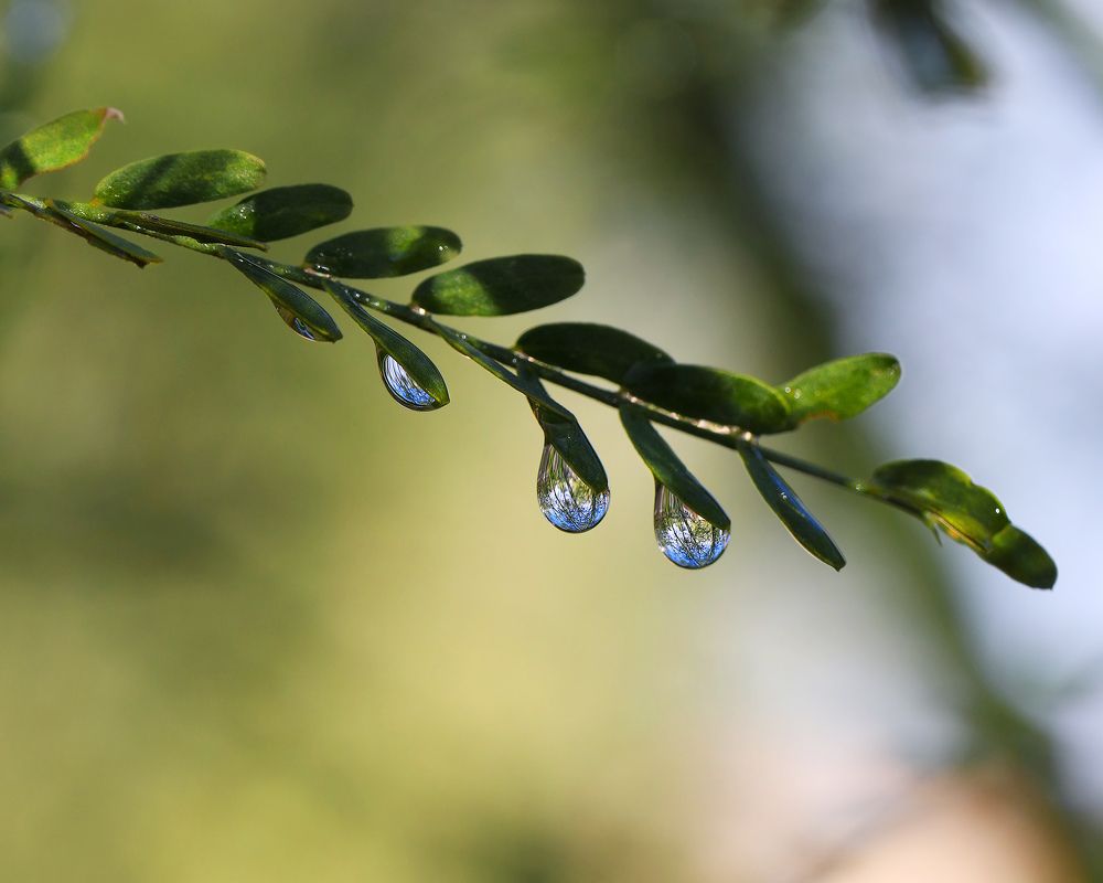 Photograph by Anferow Lana