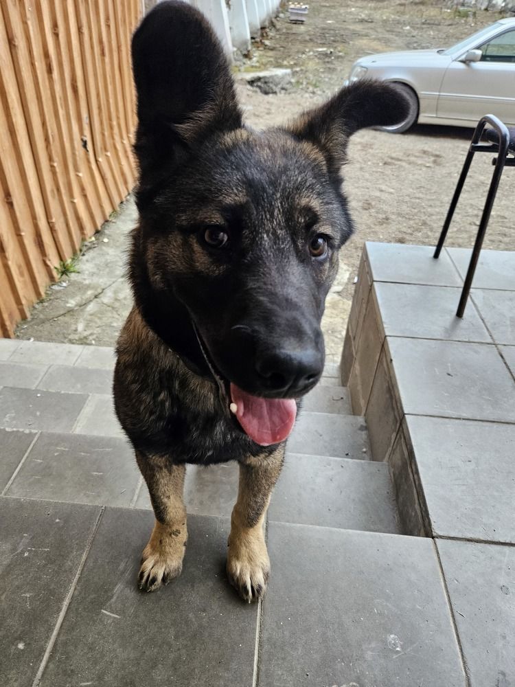 Photograph by arikacat