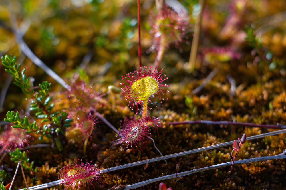 Photograph by Константин Семенюк