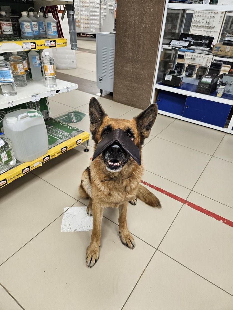 Photograph by arikacat