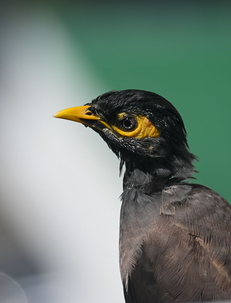 Фотография автора Ola La