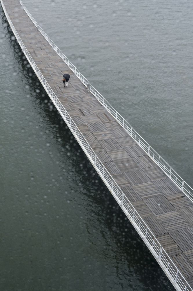 Photograph by Евгения Шулакова