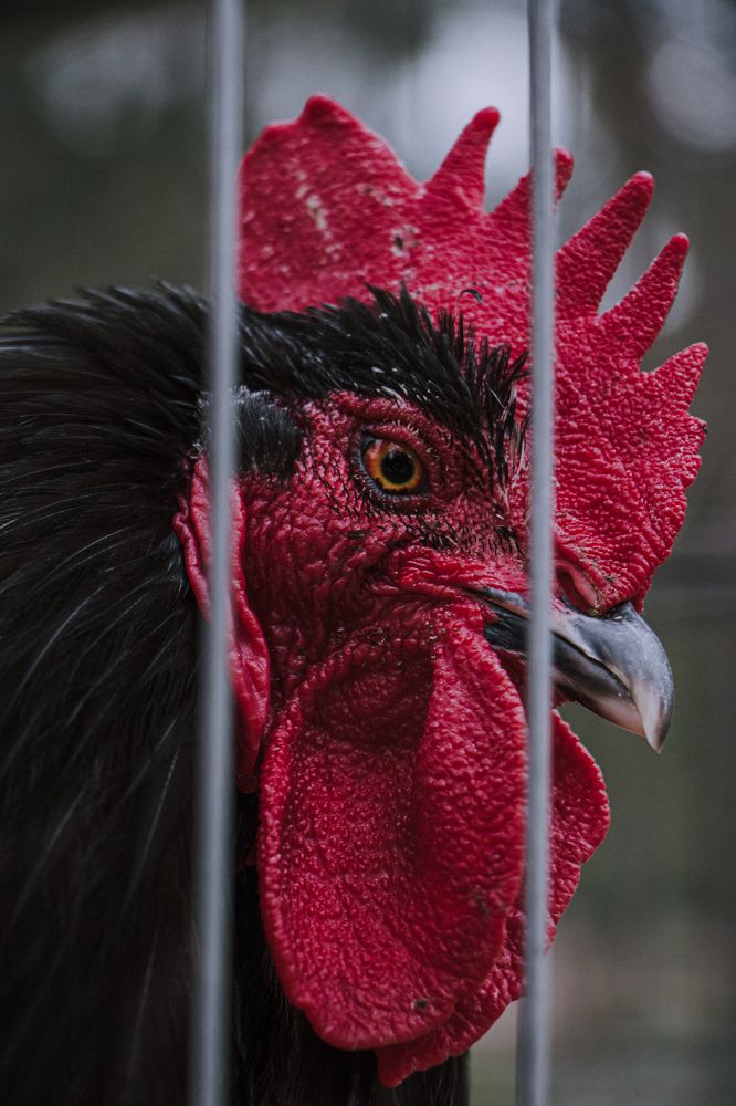 Photograph by Константин Семенюк