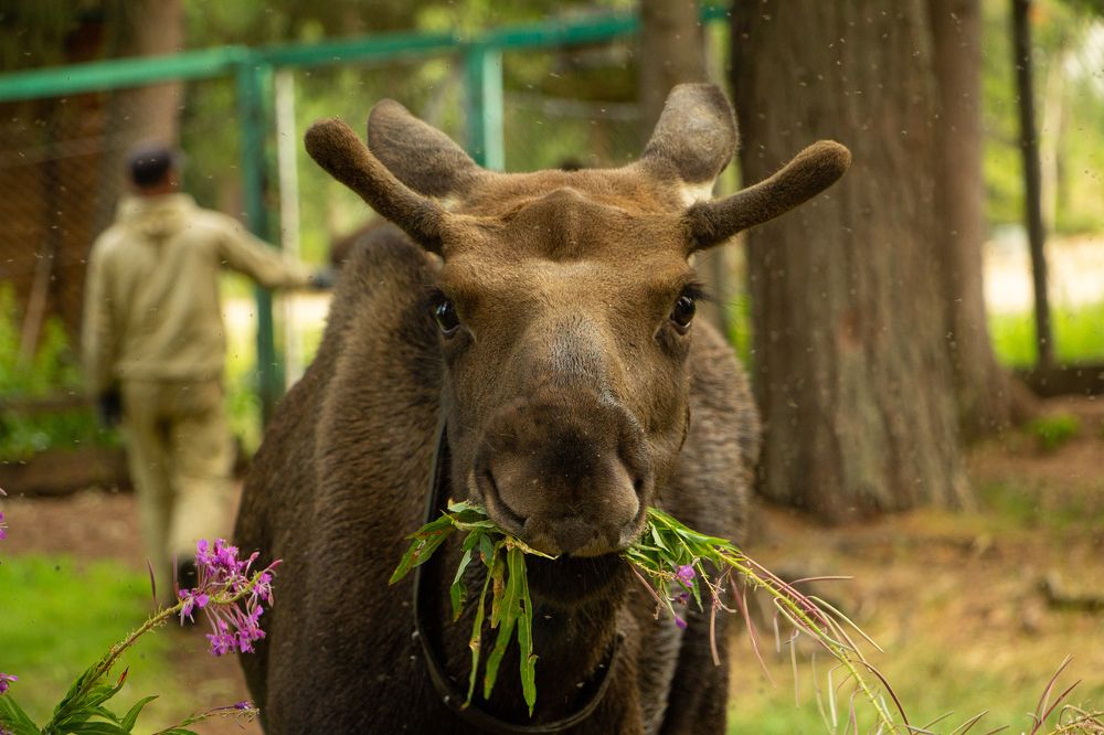 Photograph by Константин Семенюк