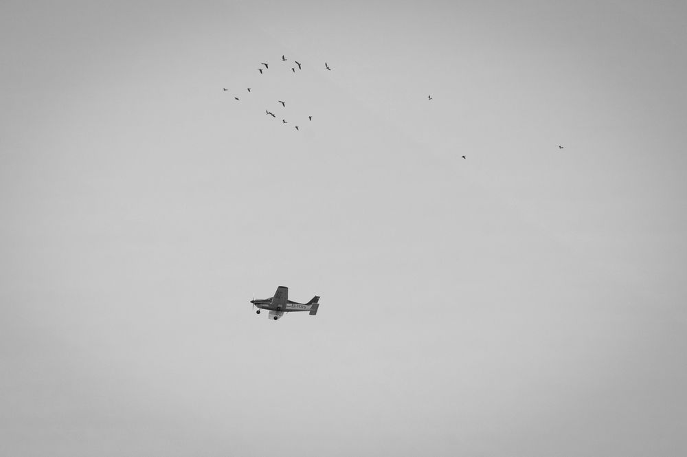 Photograph by Екатерина Рябинина