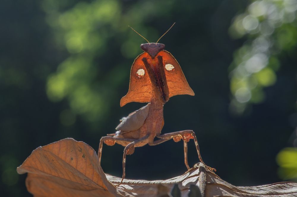 Photograph by Cao Thanh Hải