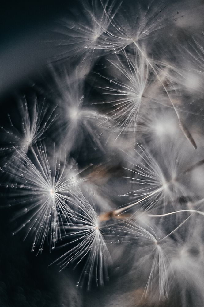 Фотография автора Воробьёва Анна