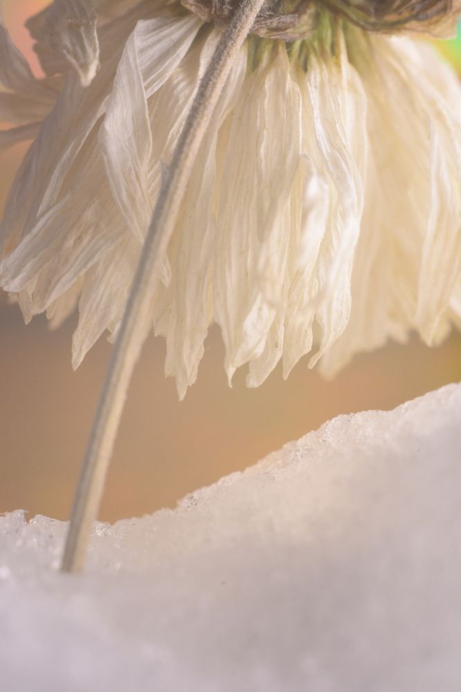 Photograph by Ольга Истомина