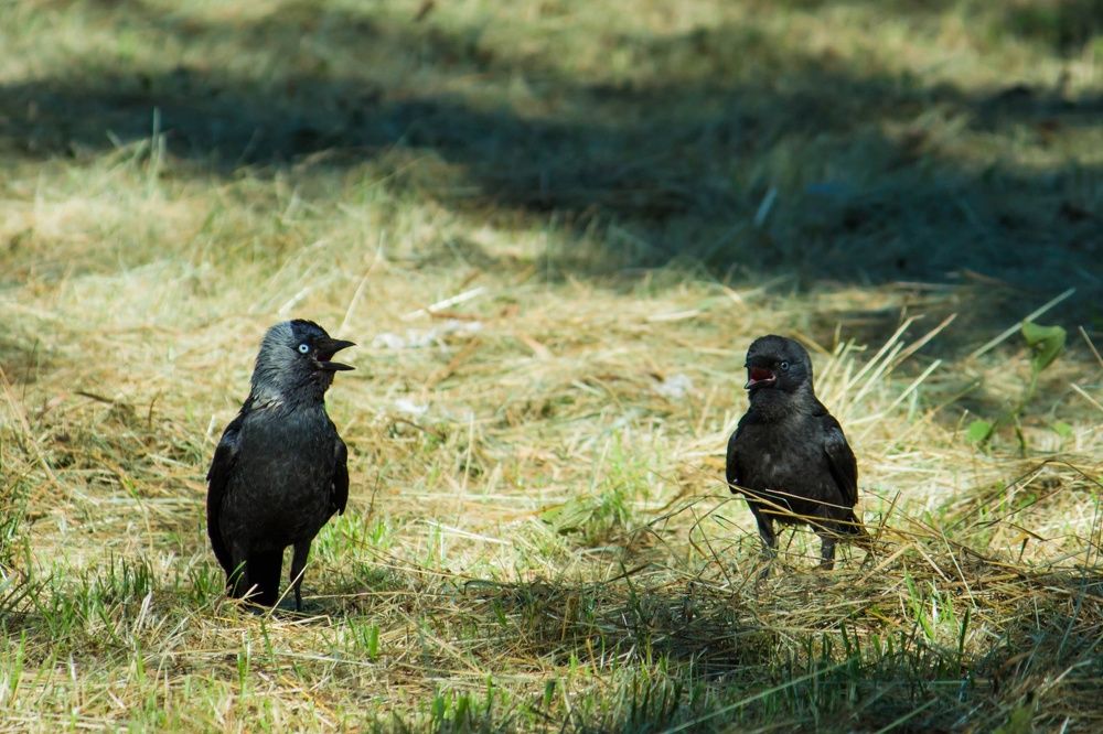 Photograph by Наталья Шёлкова