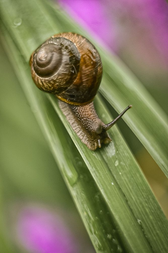 Фотография автора Воробьёва Анна