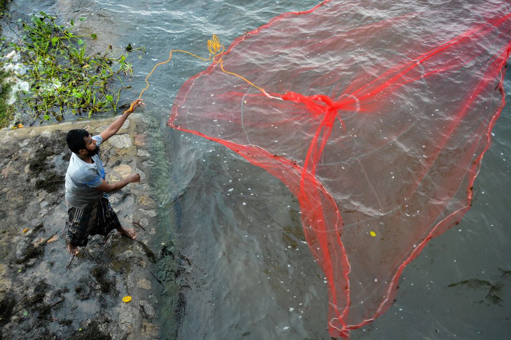 Photograph by Mim.Harosh