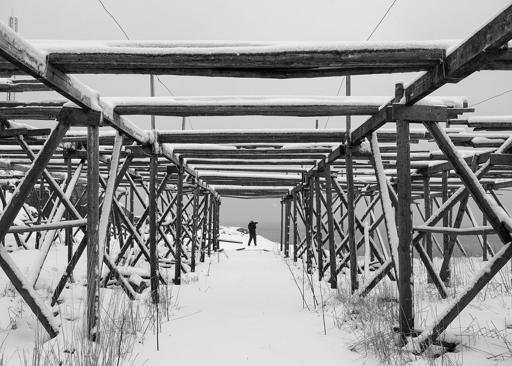 Photograph by Lugyanti Sukrisman