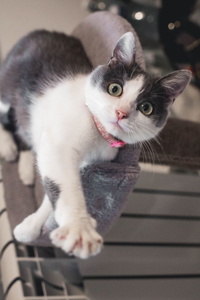 Photograph by Наталья Шёлкова